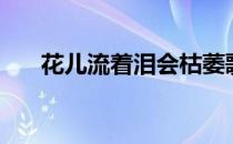 花儿流着泪会枯萎歌词（花儿流着泪）