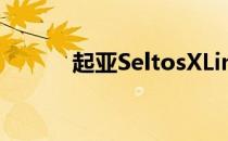 起亚SeltosXLine取笑即将推出