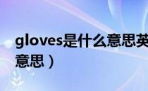 gloves是什么意思英语翻译（gloves是什么意思）