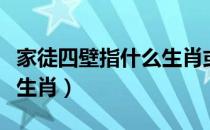 家徒四壁指什么生肖或数字（家徒四壁指什么生肖）