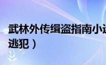 武林外传缉盗指南小迷妹是谁（武林外传缉拿逃犯）