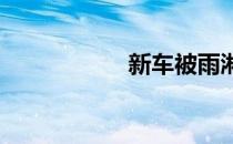 新车被雨淋什么坏处