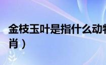 金枝玉叶是指什么动物（金枝玉叶是指什么生肖）