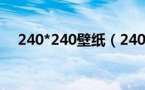 240*240壁纸（240 320手机动态壁纸）