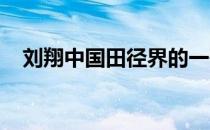 刘翔中国田径界的一哥他的实力毋庸置疑