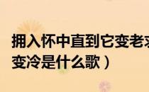 拥入怀中直到它变老求歌名（拥在怀中直到他变冷是什么歌）