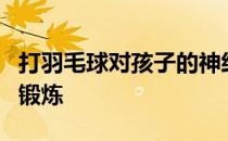 打羽毛球对孩子的神经系统反应能力是极好的锻炼