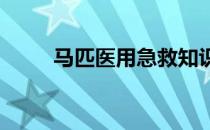 马匹医用急救知识一起来了解一下