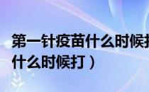 第一针疫苗什么时候打在哪里打（第一针疫苗什么时候打）