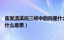 夜发清溪向三峡中的向是什么意思（夜发清溪向三峡的发是什么意思）