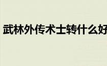 武林外传术士转什么好（武林外传术士加点）