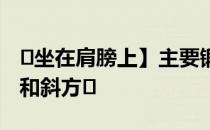 �坐在肩膀上】主要锻炼前三角肌、中三角肌和斜方�