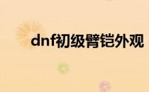 dnf初级臂铠外观（dnf初级蛋白油）