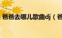 爸爸去哪儿歌曲dj（爸爸去哪儿歌曲谁唱的）