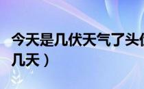 今天是几伏天气了头伏吃什么（今天是几伏第几天）