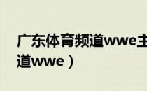 广东体育频道wwe主持人名字（广东体育频道wwe）