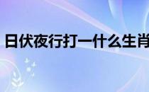 日伏夜行打一什么生肖（日伏夜行打一生肖）