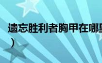 遗忘胜利者胸甲在哪里换（遗忘胜利者在哪换）