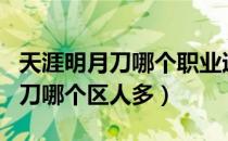 天涯明月刀哪个职业适合一个人玩（天涯明月刀哪个区人多）