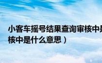 小客车摇号结果查询审核中是什么意思（小汽车摇号显示审核中是什么意思）