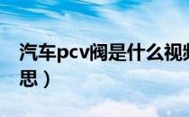 汽车pcv阀是什么视频（汽车pcv阀是什么意思）