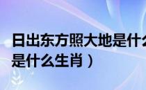 日出东方照大地是什么颜色（日出东方照大地是什么生肖）