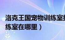 洛克王国宠物训练室扭蛋机（洛克王国宠物训练室在哪里）