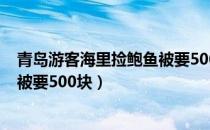 青岛游客海里捡鲍鱼被要500块新闻（青岛游客海里捡鲍鱼被要500块）