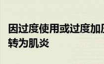 因过度使用或过度加压而令肌腱受损肌腱发炎转为肌炎