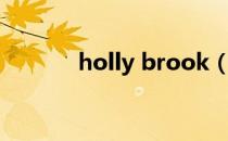 holly brook（holly brook）