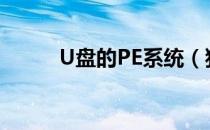 U盘的PE系统（独品u盘pe系统）