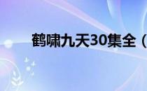 鹤啸九天30集全（鹤啸九天演员表）