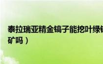 泰拉瑞亚精金镐子能挖叶绿锭吗（泰拉瑞亚精金镐能挖叶绿矿吗）