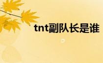 tnt副队长是谁（tnt副本攻略）