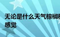 无论是什么天气棕榈树总能带来慰藉心灵的好感觉