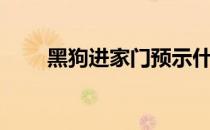 黑狗进家门预示什么（黑狗打一字）