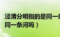 泾渭分明指的是同一条河吗（泾渭分明指的是同一条河吗）