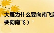 大雁为什么要向南飞脑筋急转弯（大雁为什么要向南飞）