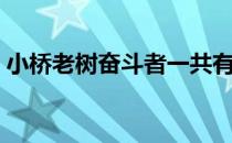 小桥老树奋斗者一共有几册（小桥老树博客）