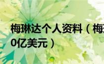 梅琳达个人资料（梅琳达宣布离婚后已获得30亿美元）