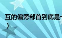 互的偏旁部首到底是一还是二（互的偏旁部首）