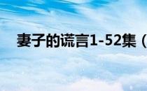 妻子的谎言1-52集（妻子的谎言演员表）