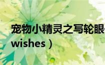 宠物小精灵之写轮眼传奇（宠物小精灵best wishes）