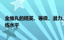 金维丸的精英、等级、潜力、技能、信任度有哪些推荐的训练水平 