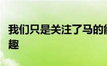 我们只是关注了马的能力并不是他们自己的兴趣