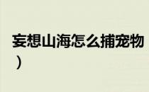 妄想山海怎么捕宠物（妄想山海怎么捕捉宠物）