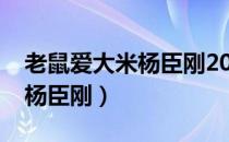 老鼠爱大米杨臣刚2005年春晚（老鼠爱大米杨臣刚）