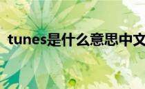 tunes是什么意思中文（tunes是什么意思）