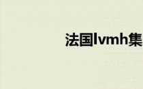 法国lvmh集团（法国lv）