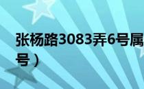 张杨路3083弄6号属于哪个区（张杨路3059号）